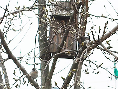 DSC_0002.jpg